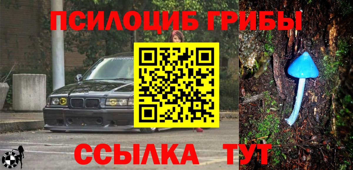 Псилоцибиновые грибы прущие грибы Егорьевск